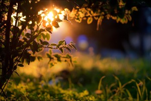 perfect_pace_1_16_09_MG_9470