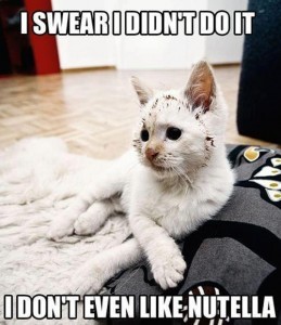 it-wasnt-me