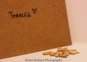 sunflower envelope