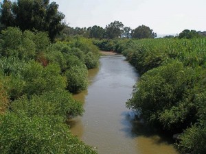 The once mighty River Jordan is little more than a stream once clean water for the region has been extracted
