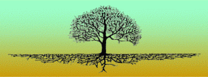 roots