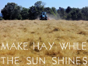 make hay