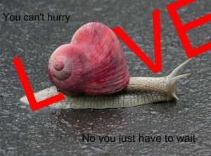 you can't hurry love