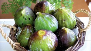 basket of figs