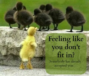 dont-fit-in