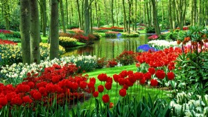 the-garden-of-the-soul